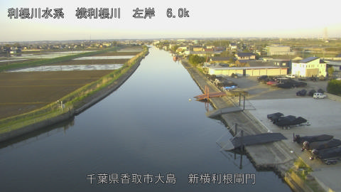 yoko2026040906_image