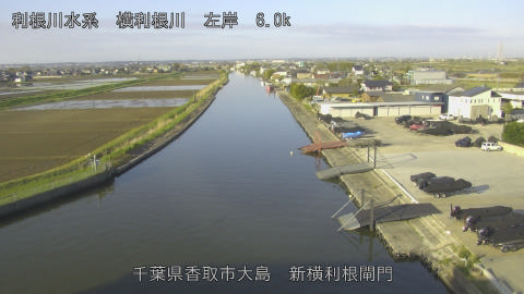 yoko2026040907_image