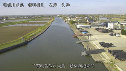 yoko2026040908_image