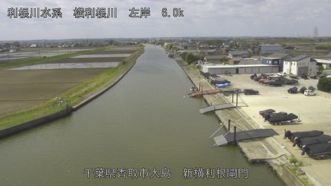 yoko2026040910_image