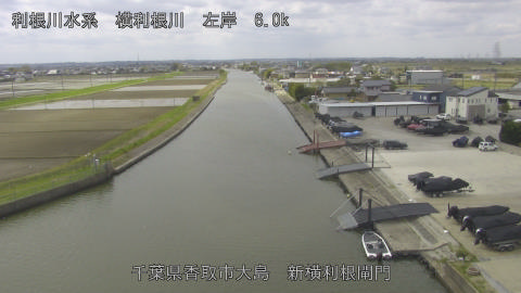 yoko2026040911_image