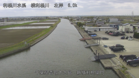 yoko2026040912_image