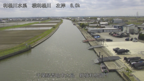 yoko2026040913_image