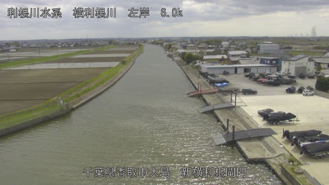 yoko2026040914_image