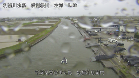 yoko2026041012_image