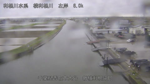 yoko2026041017_image