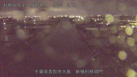 yoko2026041019_image