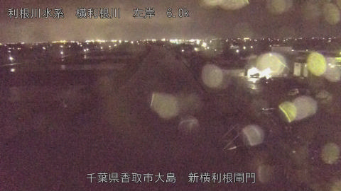 yoko2026041020_image