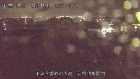 yoko2026041021_image