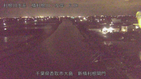 yoko2026041022_image