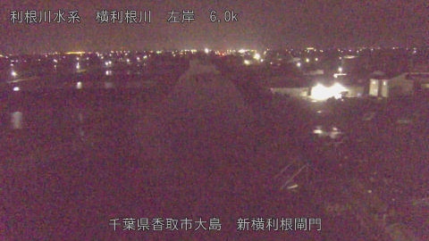 yoko2026041102_image