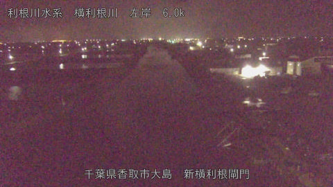 yoko2026041103_image