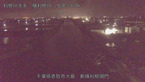 yoko2026041104_image