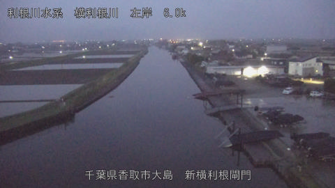 yoko2026041105_image