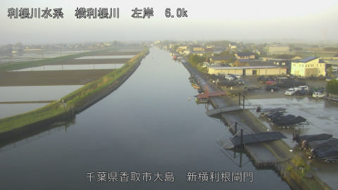 yoko2026041106_image