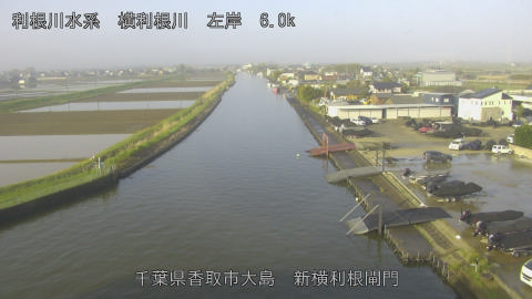 yoko2026041107_image