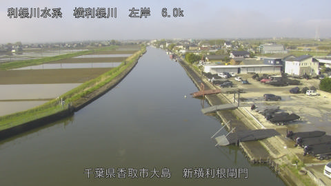 yoko2026041108_image