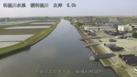 yoko2026041109_image