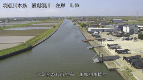 yoko2026041110_image