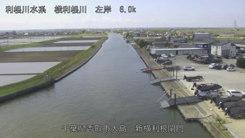 yoko2026041111_image