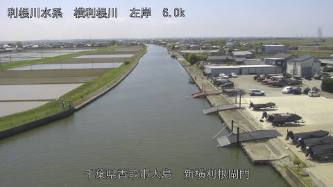 yoko2026041112_image