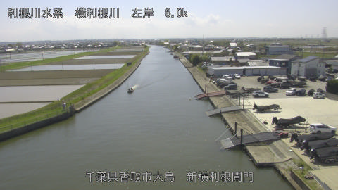 yoko2026041113_image