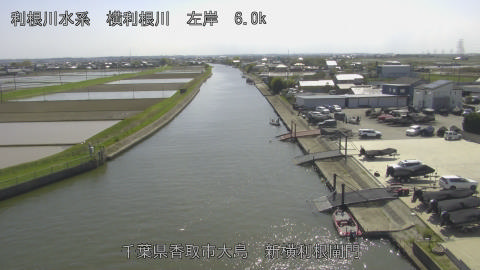 yoko2026041114_image