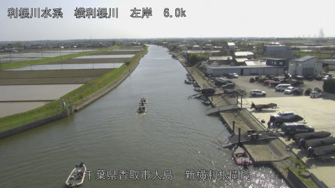 yoko2026041115_image