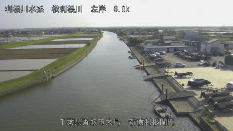 yoko2026041116_image