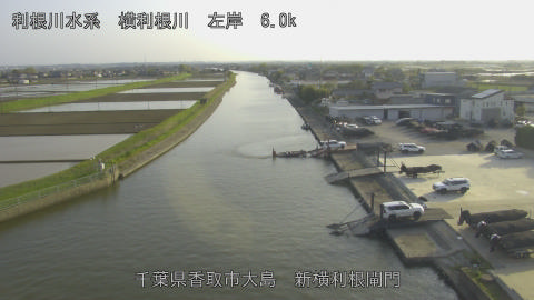 yoko2026041117_image