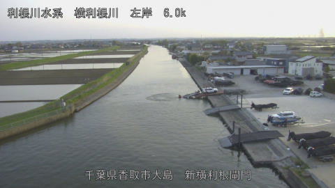 yoko2026041118_image