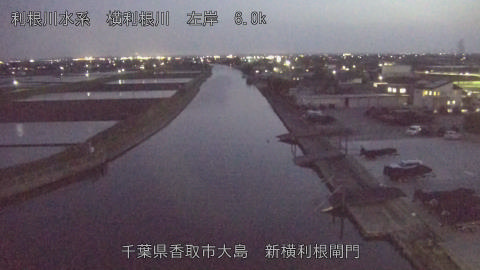 yoko2026041119_image