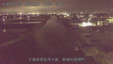 yoko2026041120_image