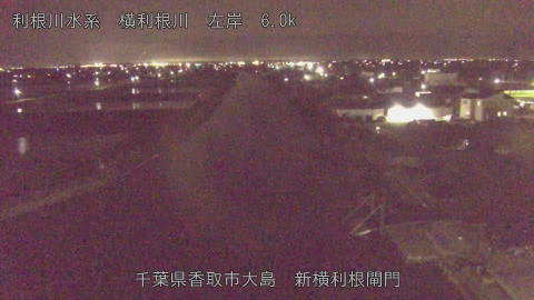 yoko2026041121_image