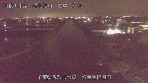 yoko2026041122_image