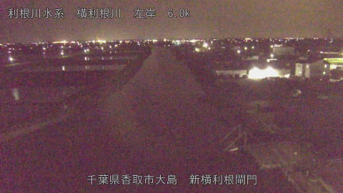 yoko2026041123_image