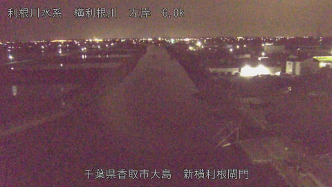 yoko2026041200_image