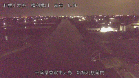 yoko2026041201_image