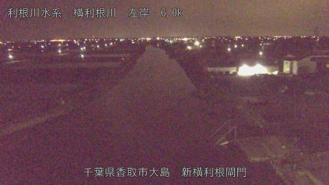 yoko2026041202_image