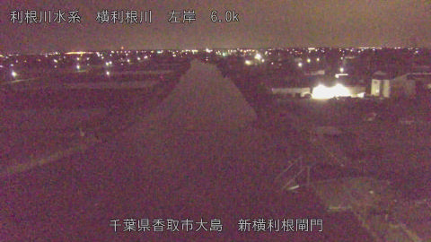 yoko2026041204_image