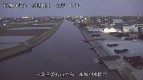 yoko2026041205_image