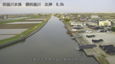 yoko2026041206_image