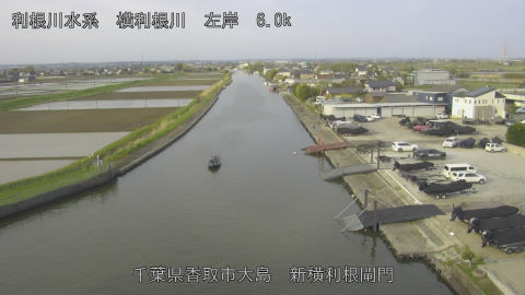 yoko2026041207_image