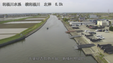 yoko2026041208_image