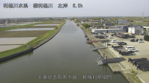 yoko2026041209_image