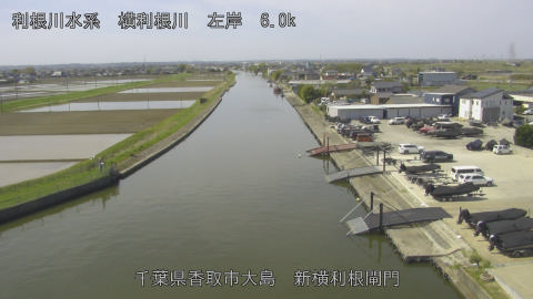 yoko2026041210_image