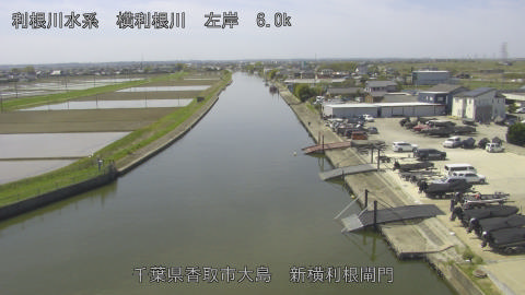 yoko2026041211_image