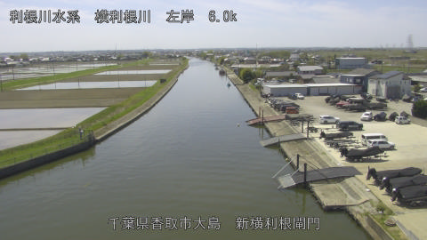 yoko2026041212_image