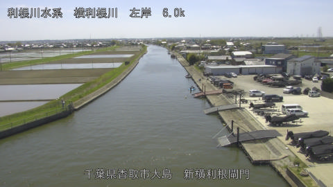 yoko2026041213_image