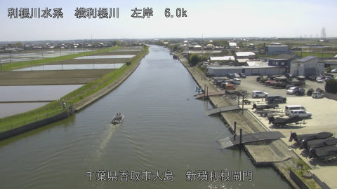 yoko2026041214_image